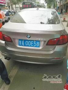 175宝马女 在线视频,揭秘豪车背后的故事